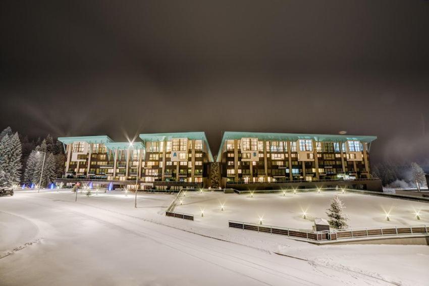 Timber View Apartment Silver Mountain ポイアナ・ブラショフ エクステリア 写真