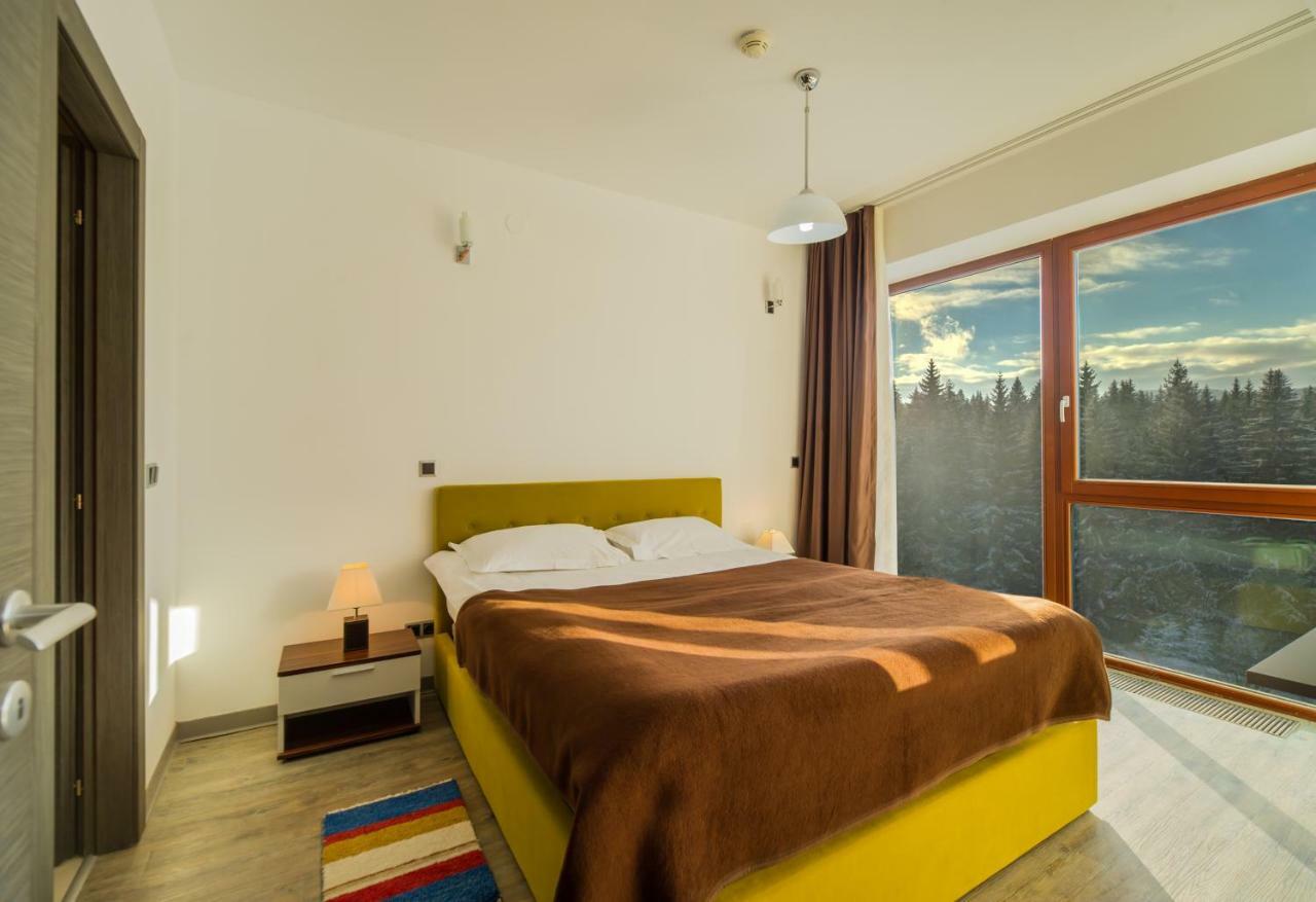 Timber View Apartment Silver Mountain ポイアナ・ブラショフ エクステリア 写真