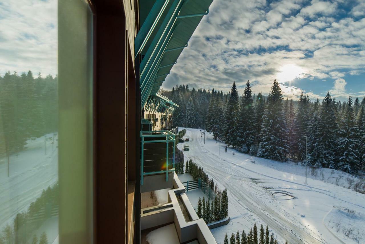 Timber View Apartment Silver Mountain ポイアナ・ブラショフ エクステリア 写真